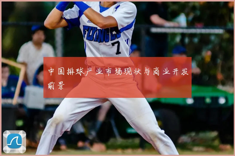 中国排球产业市场现状与商业开发前景