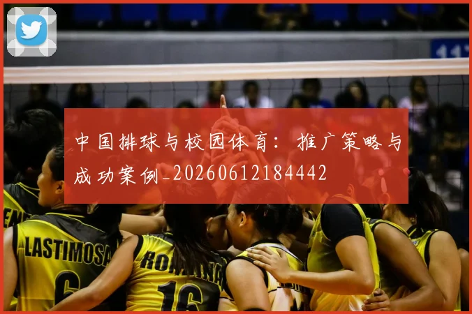 中国排球与校园体育：推广策略与成功案例_20260612184442