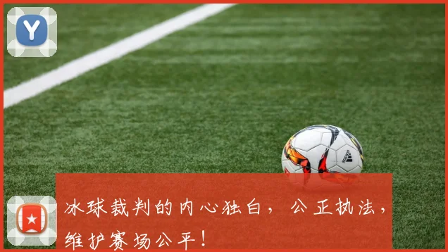 冰球裁判的内心独白，公正执法，维护赛场公平！