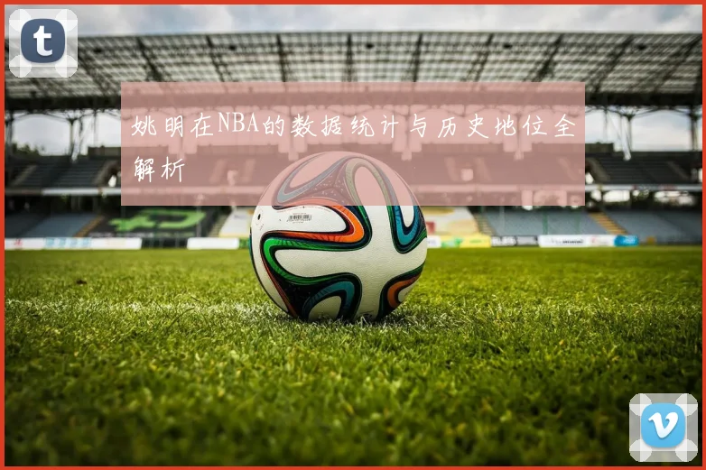 姚明在NBA的数据统计与历史地位全解析