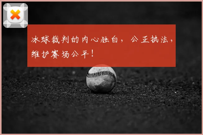 冰球裁判的内心独白,公正执法,维护赛场公平!